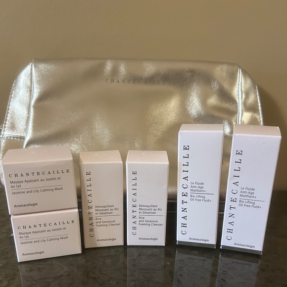 Chantecaille silver make up pouch + 6 samples - Picture 1 of 2